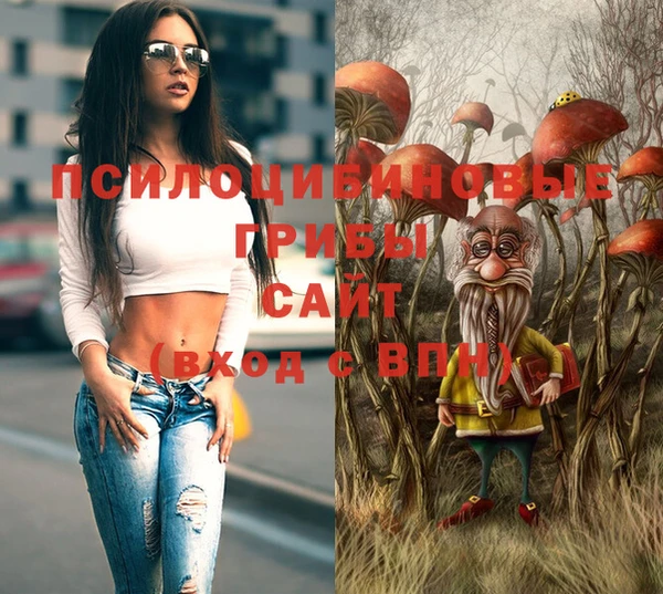 гашик Белая Холуница